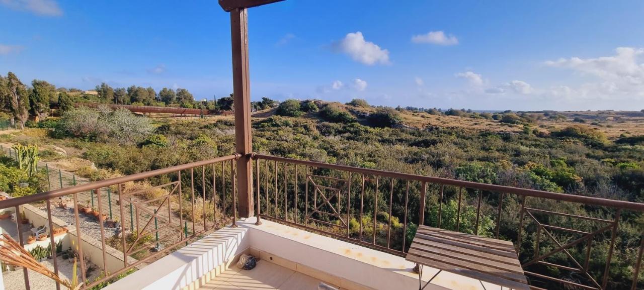 Ancient Paphos - Cozy Place Next To The Sea, Marina, Historical Sites, Buses, Mall, And Market Екстер'єр фото
