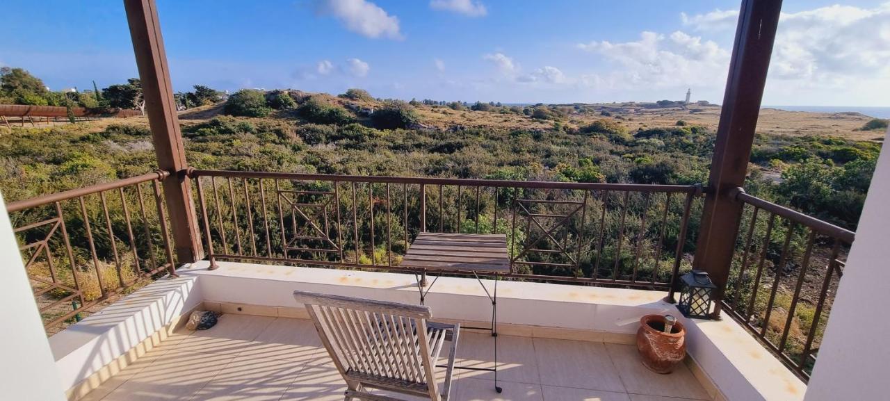 Ancient Paphos - Cozy Place Next To The Sea, Marina, Historical Sites, Buses, Mall, And Market Екстер'єр фото